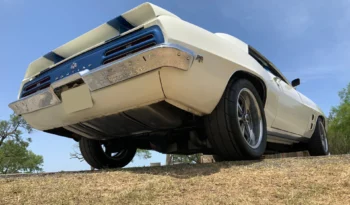 
										1969 PONTIAC FIREBIRD TRANS AM full									