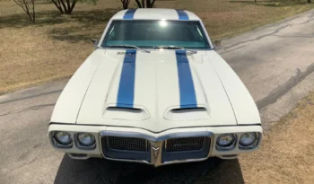 
										1969 PONTIAC FIREBIRD TRANS AM full									