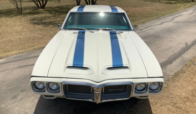 
								1969 PONTIAC FIREBIRD TRANS AM full									